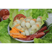 frozen high quality scallop meat